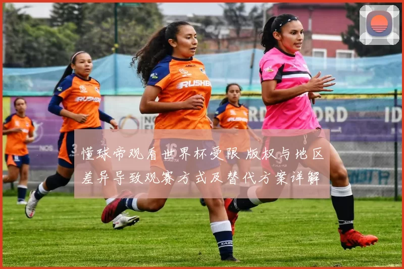 懂球帝观看世界杯受限 版权与地区差异导致观赛方式及替代方案详解